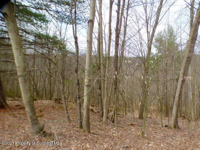 a view of outdoor space with trees