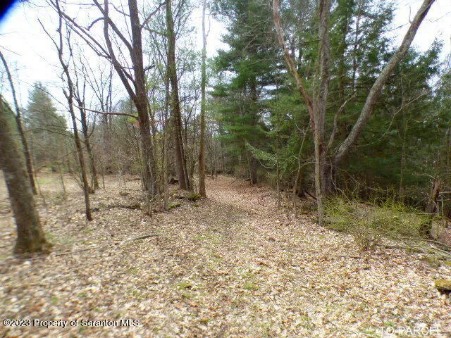a view of a backyard of the house
