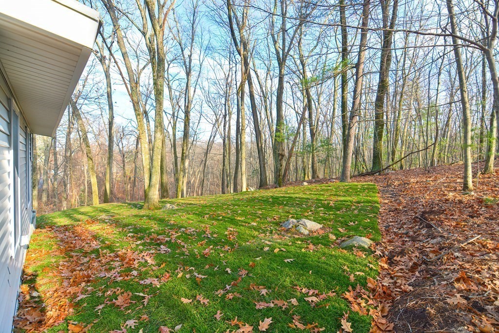 108 Olive Street Ashland, MA 01721 - Photo 32 of 34 a view of a yard with large trees