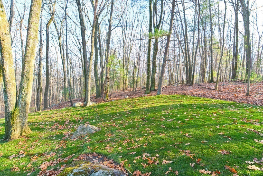 108 Olive Street Ashland, MA 01721 - Photo 33 of 34 a view of outdoor space with a garden and trees