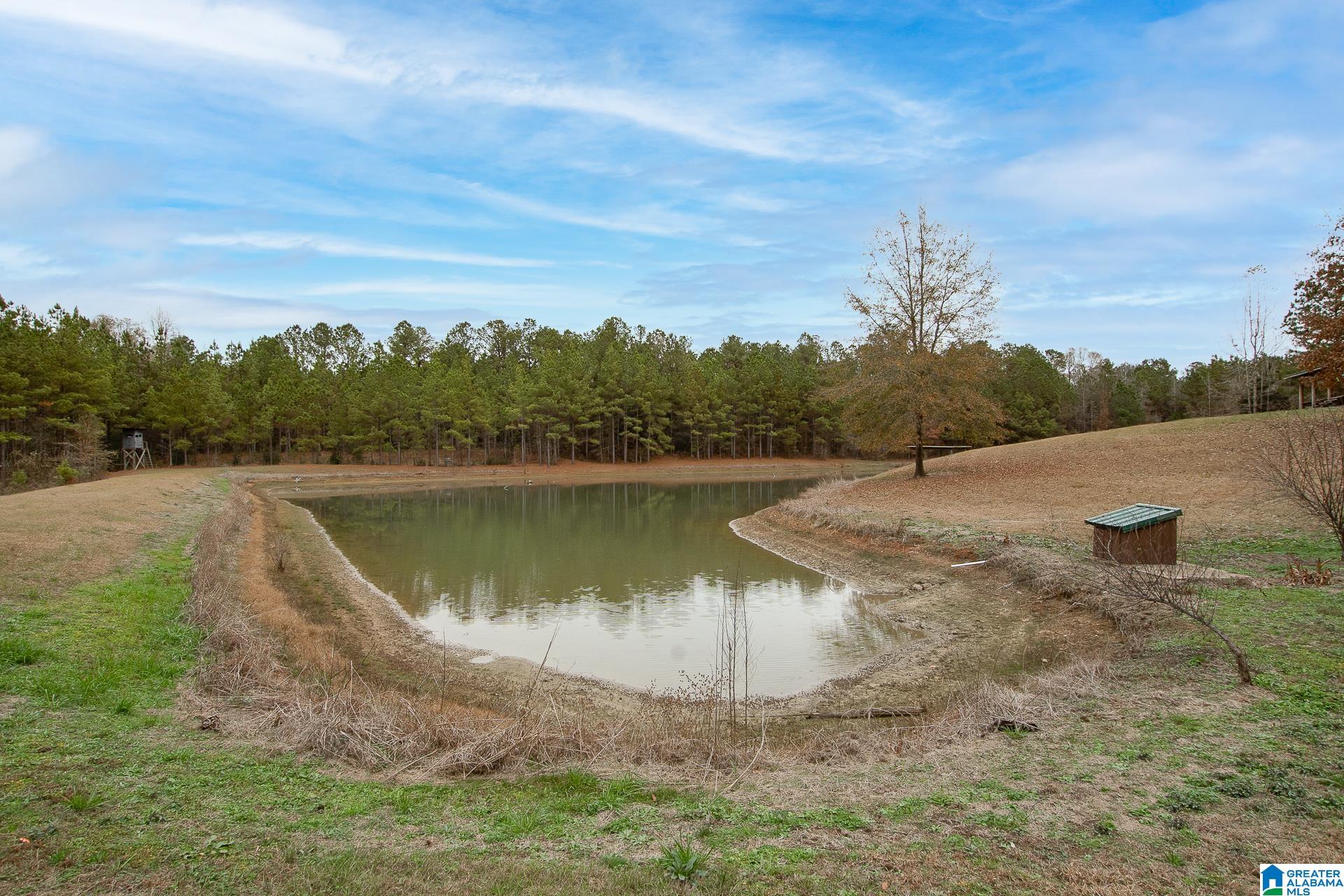 1444 Thrasher Road Sawyerville, AL 36776 - Photo 36 of 47