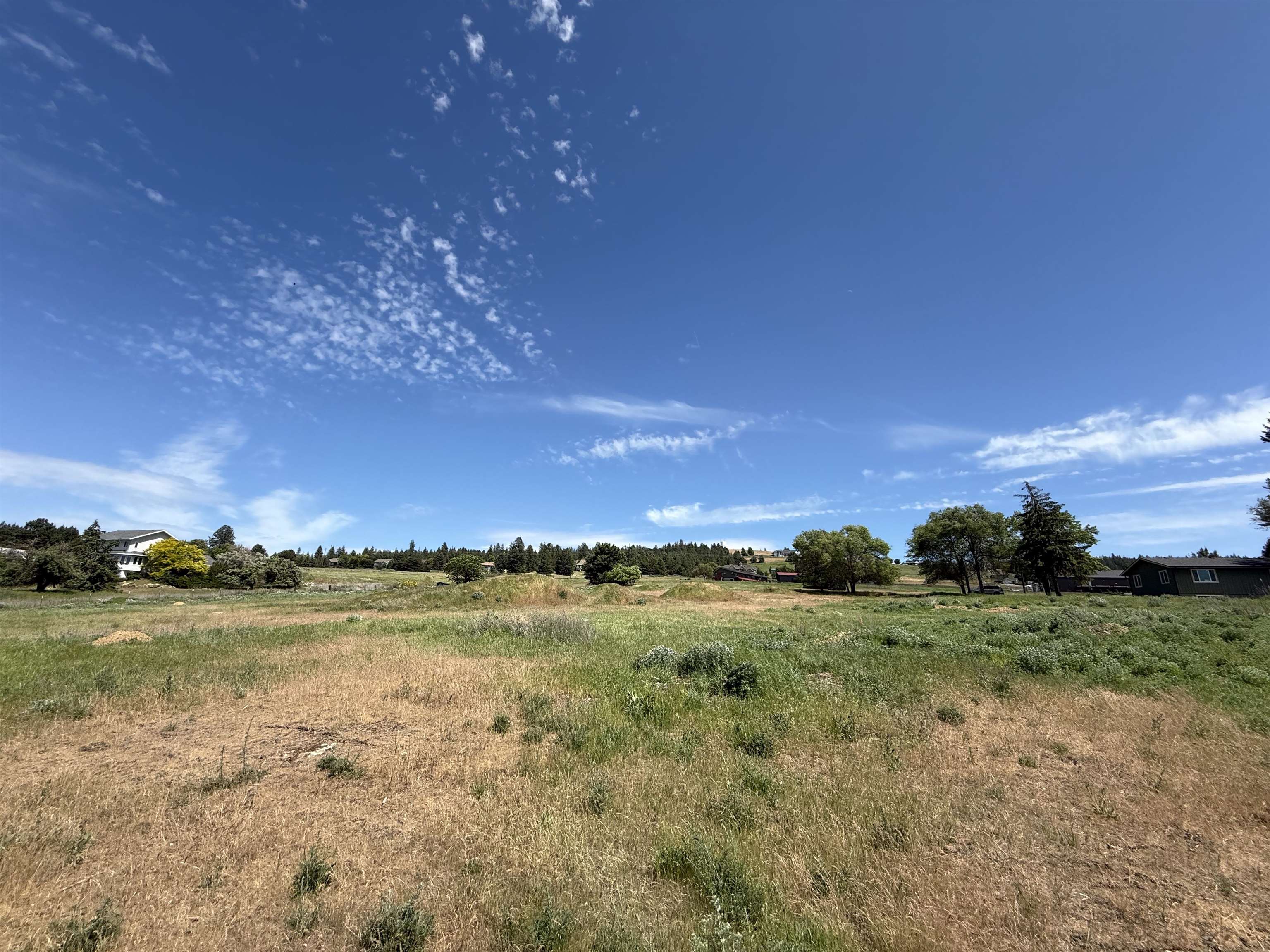 2 South Fancher Road Spokane, WA 99223 - Photo 4 of 19
