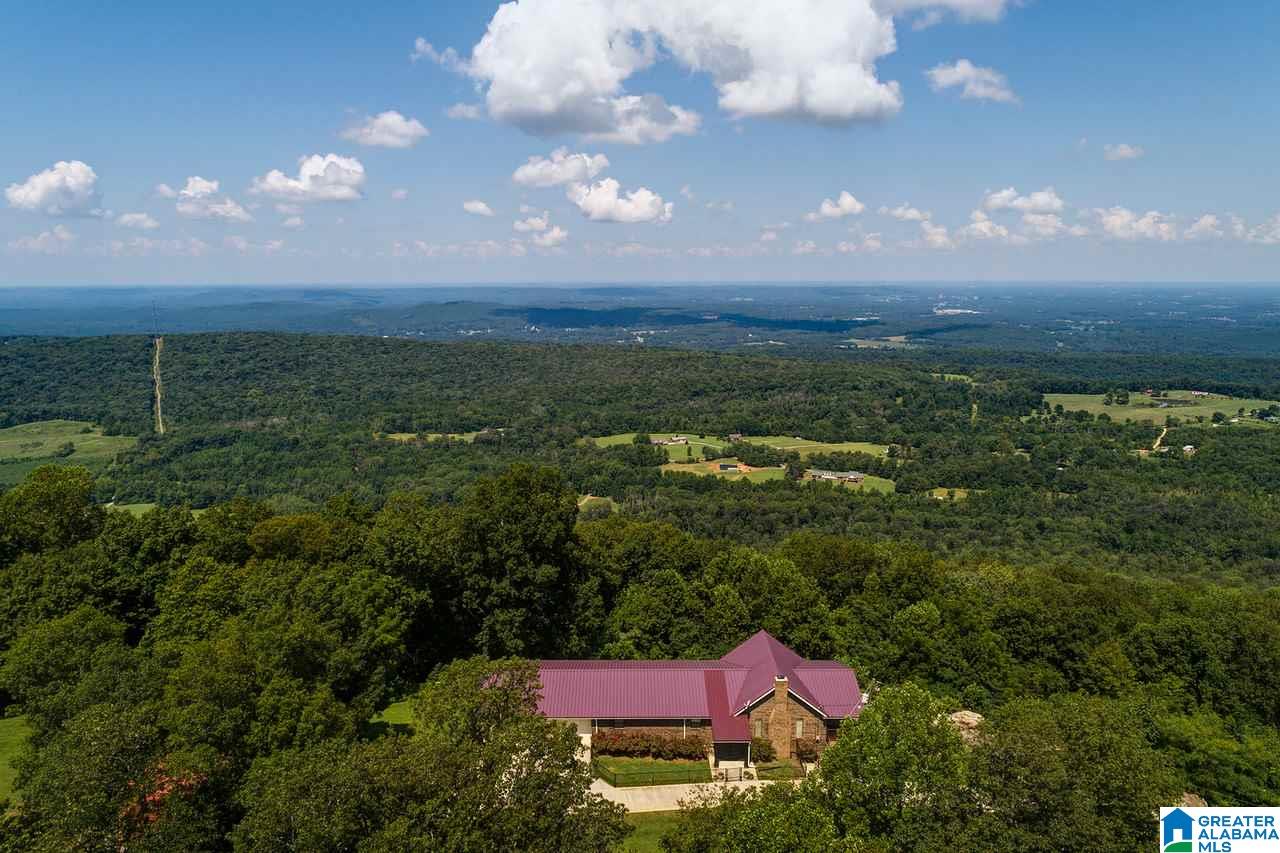 1458 Warnock Peak Road Hayden, AL 35079 - Photo 1 of 50