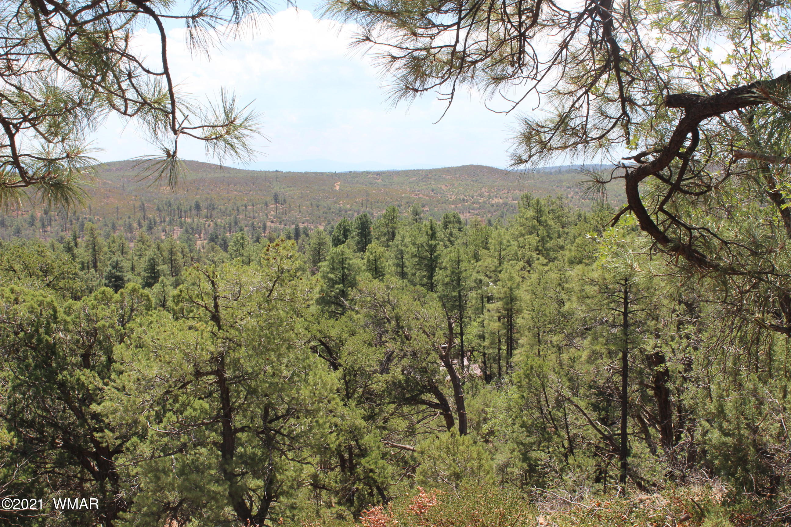 6378 Deer Run Road Show Low, AZ 85901 - Photo 34 of 42 Gallery Image 34