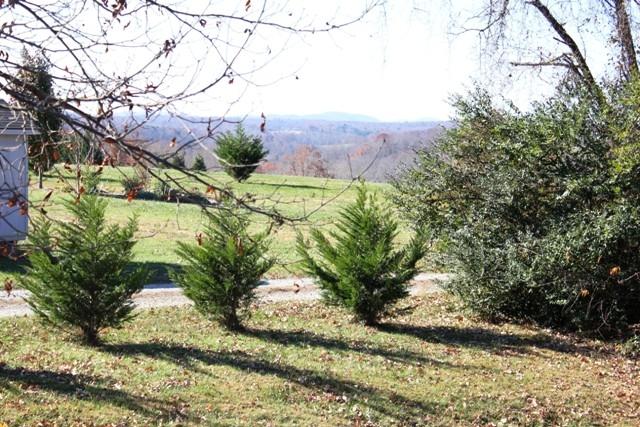 2865 Chestnut Hill Road, Unit 18 Rocky Mount, VA 24151 - Photo 5 of 30 Seasonal Mountain View