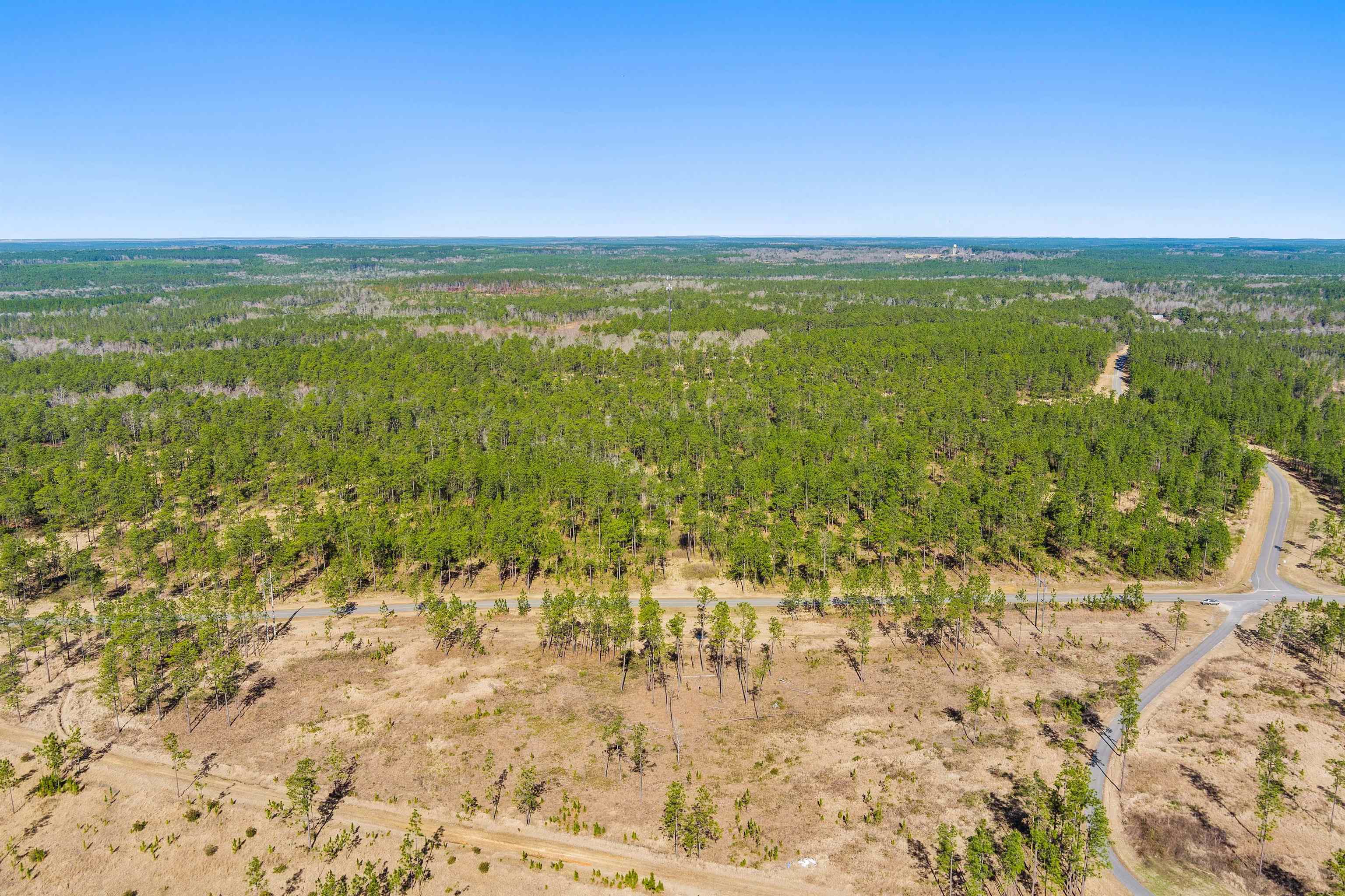 0 Robert White Road Bay Minette, AL 36507 - Photo 11 of 23