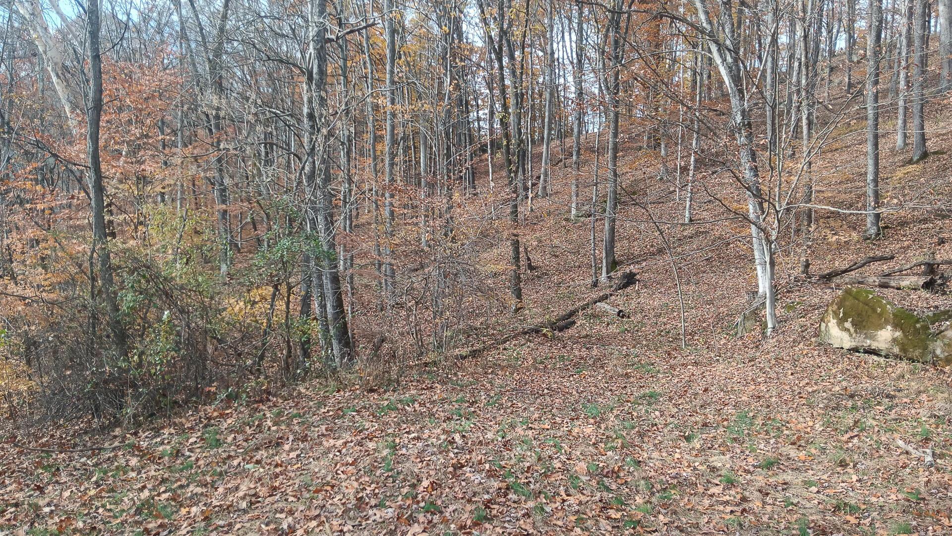 0 Keystone Road, Unit CREEKVIEW CABIN) Vinton, OH 45686 - Photo 20 of 95 CT-20