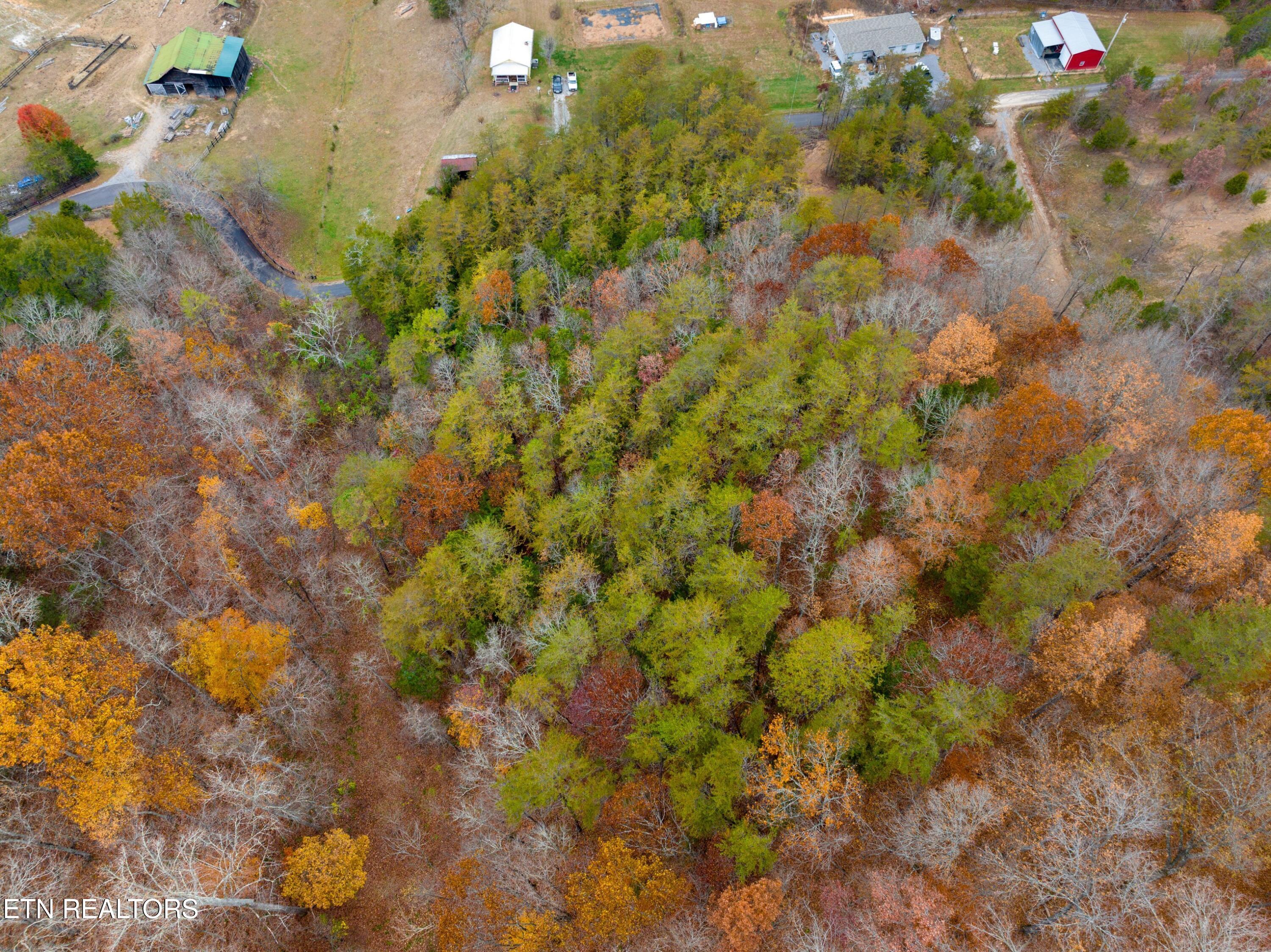 Dry Valley Road Thorn Hill, TN 37881 - Photo 6 of 11 DJI_20231109144625_0421_D.jpg-SMALL