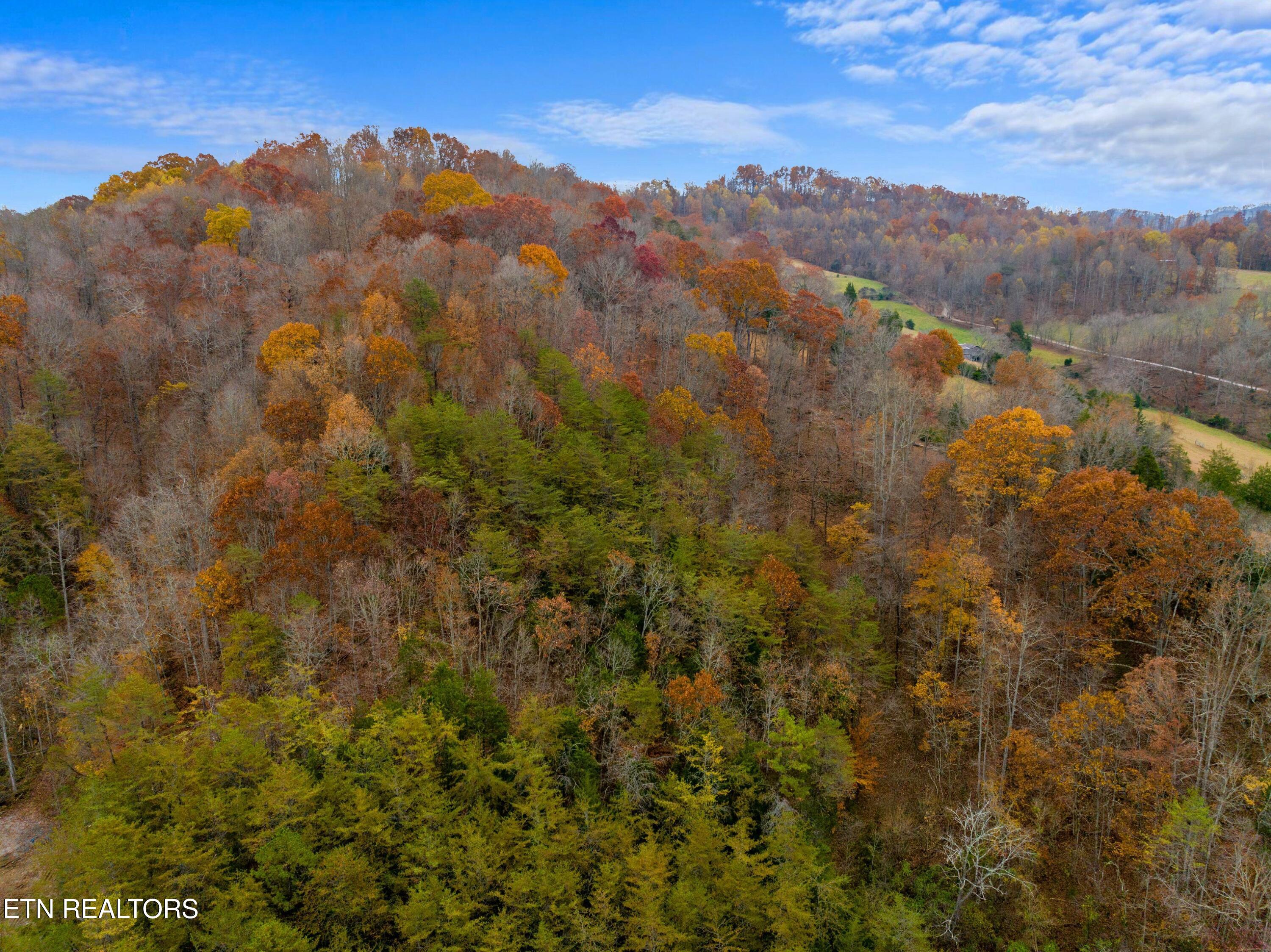 Dry Valley Road Thorn Hill, TN 37881 - Photo 7 of 11 DJI_20231109144643_0426_D.jpg-SMALL