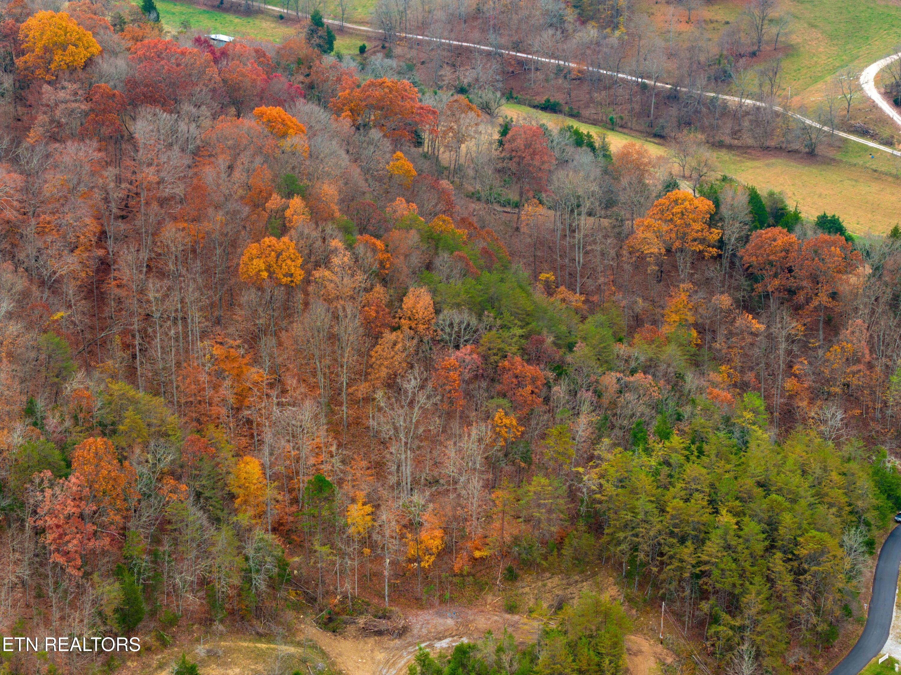 Dry Valley Road Thorn Hill, TN 37881 - Photo 10 of 11 DJI_20231109144838_0441_D.jpg-SMALL