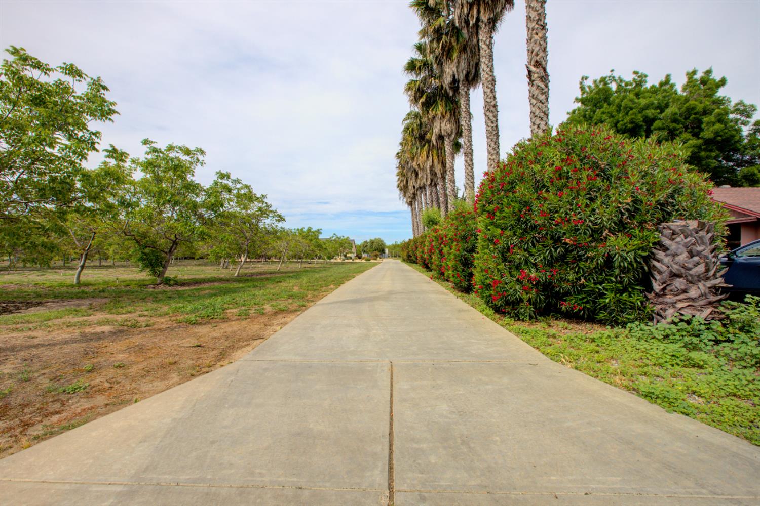 1054 Townhill Road Oakdale, CA 95361 - Photo 57 of 60 a view of a garden with a pathway