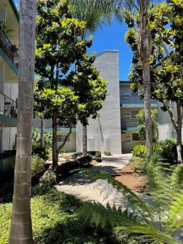 a plant that is in front of a house