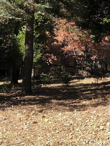 933 Oak Road Skyforest, CA 92385 - Photo 16 of 31 a view of yard