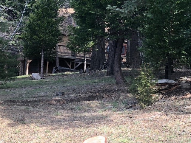 933 Oak Road Skyforest, CA 92385 - Photo 19 of 31 a view of a backyard with large trees and a small barn