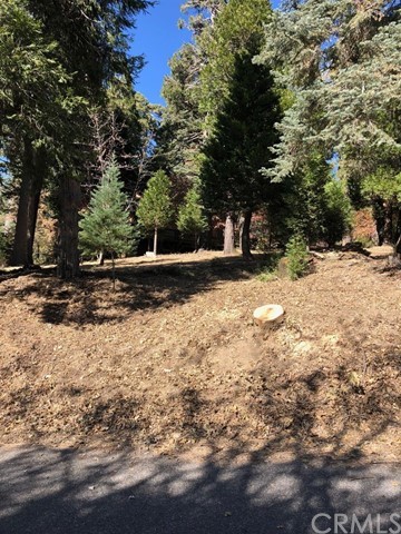 933 Oak Road Skyforest, CA 92385 - Photo 3 of 31 a view of a yard with trees