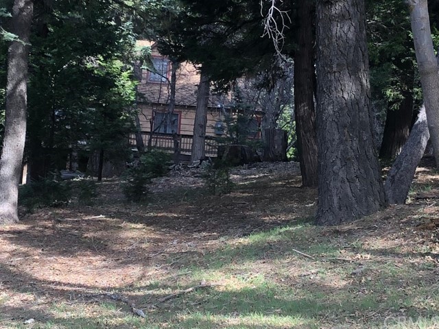 933 Oak Road Skyforest, CA 92385 - Photo 31 of 31 a view of a yard with plants and trees
