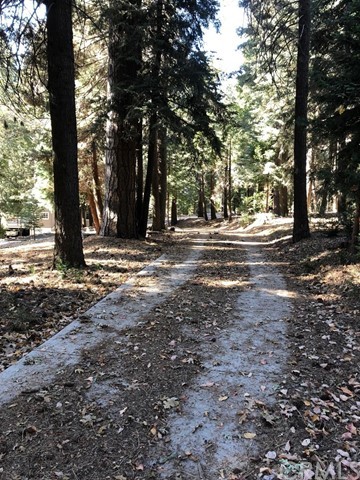 933 Oak Road Skyforest, CA 92385 - Photo 8 of 31 a view of street view and tree