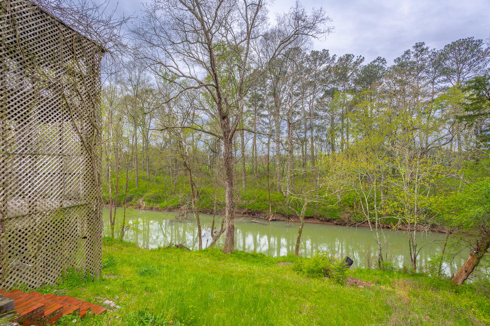 736 Burning Bush Road Ringgold, GA 30736 - Photo 2 of 20 736 Burning Bush Road
