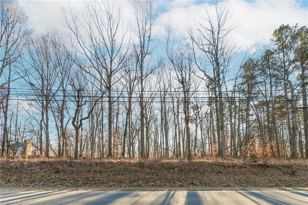 0 Fred Lineberry Road Randleman, NC 27317 - Photo 3 of 13 Gallery Image 3