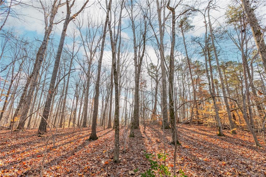 0 Fred Lineberry Road Randleman, NC 27317 - Photo 4 of 13 Gallery Image 4