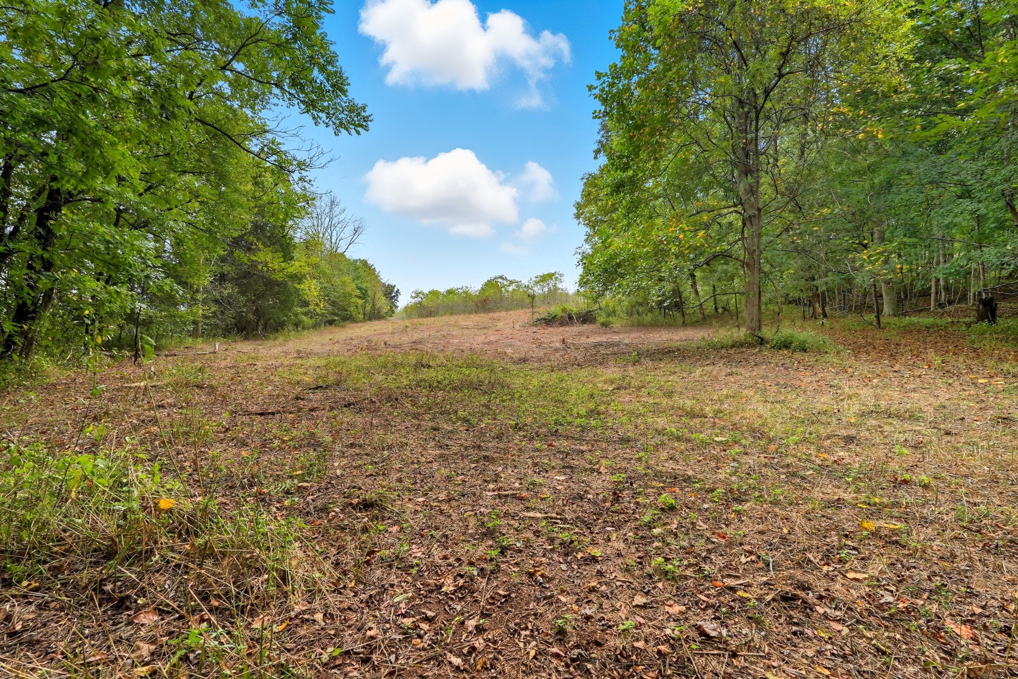 0 West Bellar Road Adams, TN 37010 - Photo 54 of 60