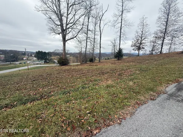 $31,500 | Lot #21 Oak Point Drive, Jonesville, VA 24263