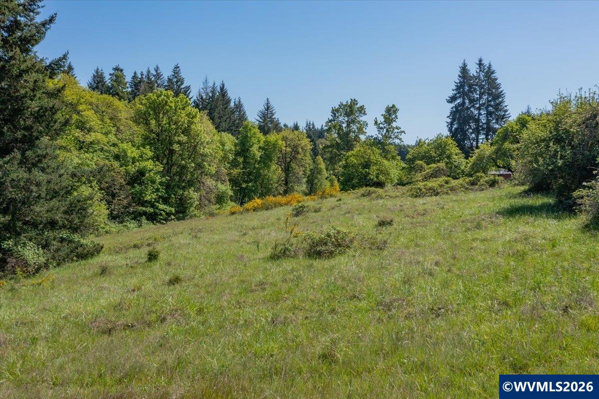 201560 Orchard Tract Road Monroe, OR 97456 - Photo 13 of 23