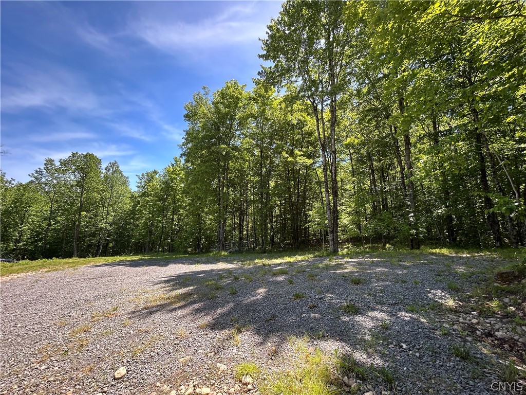 7702 Hiawatha Lake Road Greig, NY 13343 - Photo 10 of 14