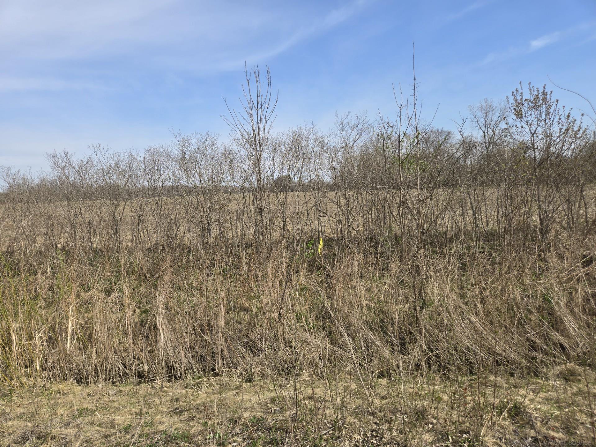 0 Weber (lot B) Road Columbus, MI 48063 - Photo 11 of 14