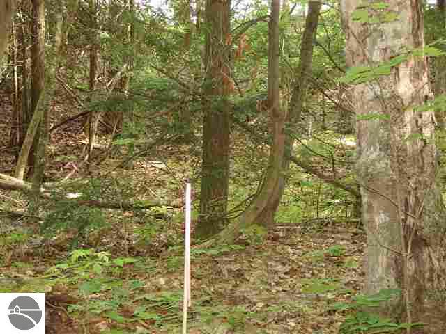 Lot 26 Beach Road Frankfort, MI 49635 - Photo 10 of 15 1736015-9.JPG