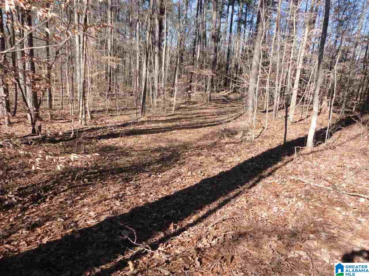 445 Crawfish Lane, Unit 14 15 Ragland, AL 35131 - Photo 2 of 8