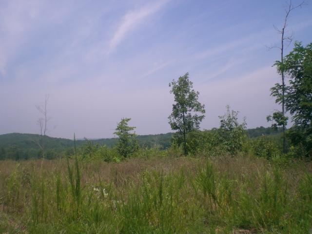 1 Gallows Road Gretna, VA 24557 - Photo 1 of 1 a view of a lake and green valley