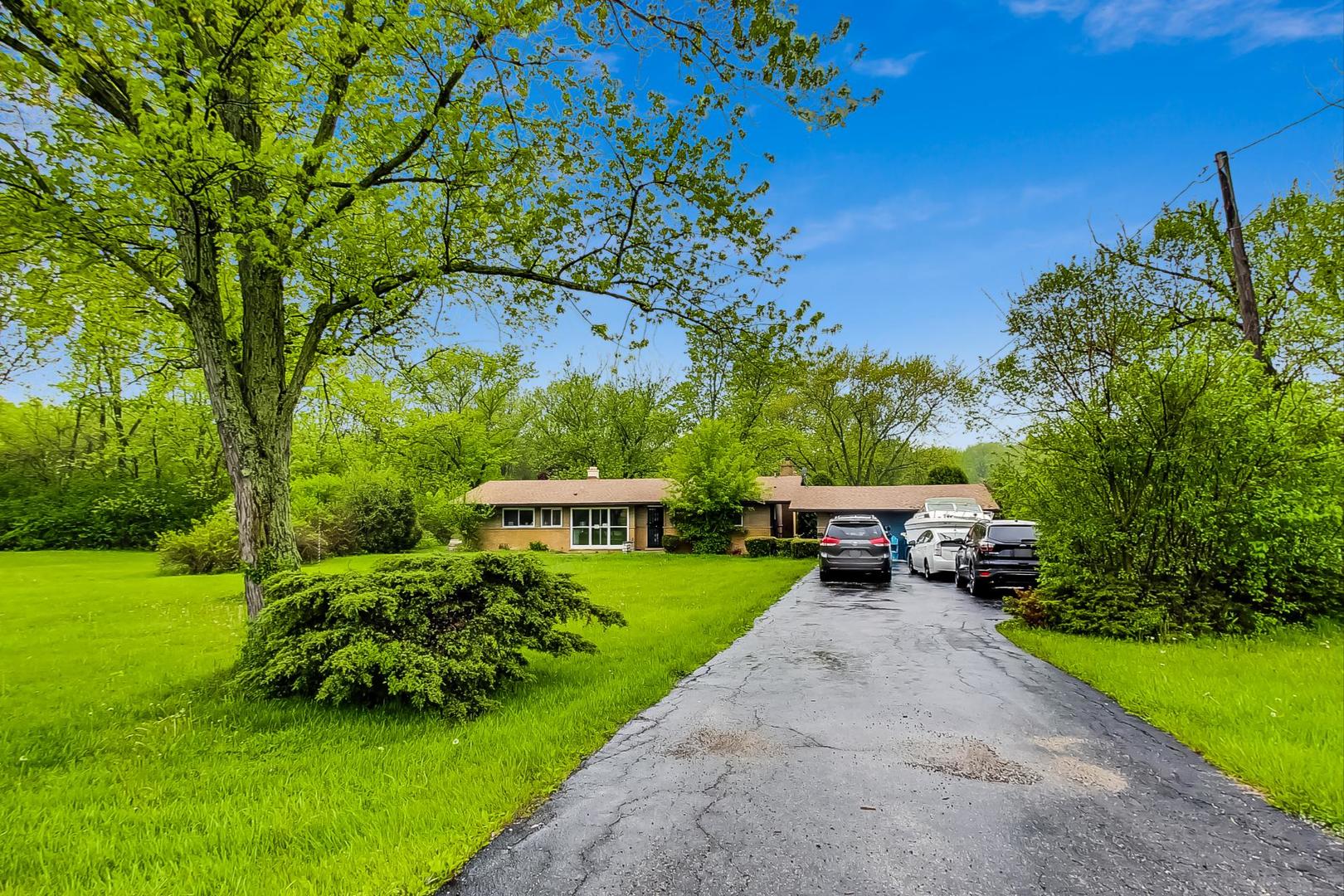 a view of a park with large trees