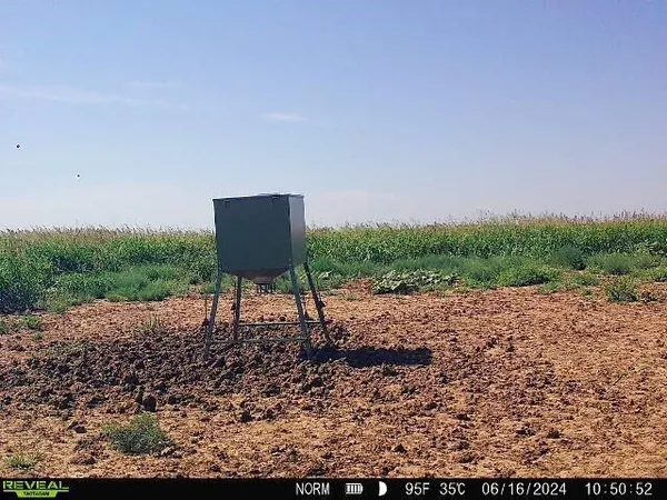 a view of a outdoor space