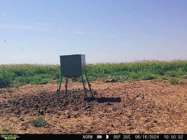 a view of a outdoor space