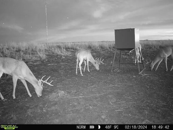 a view of a television