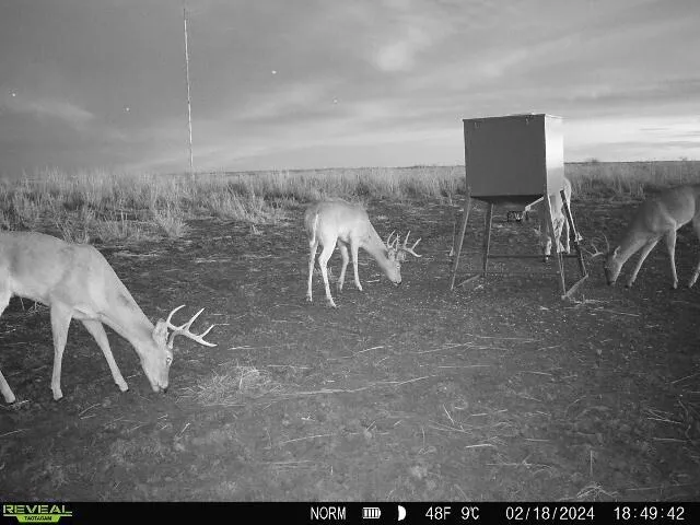 a view of a television