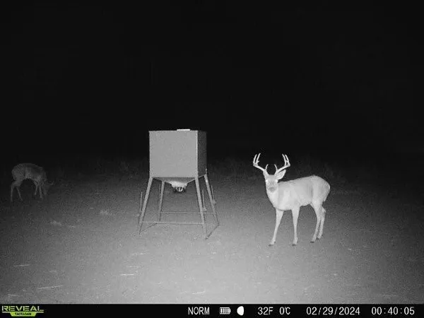 a dining room with furniture and a potted plant