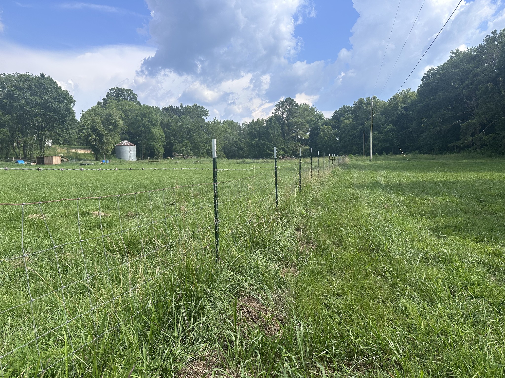 0 Lick Creek Road Dover, TN 37058 - Photo 6 of 14