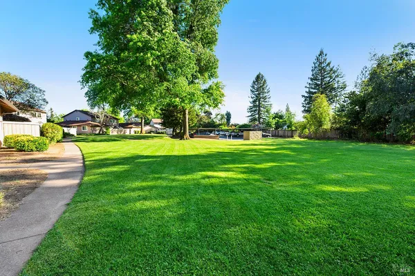 a view of a park with trees and houses in the background