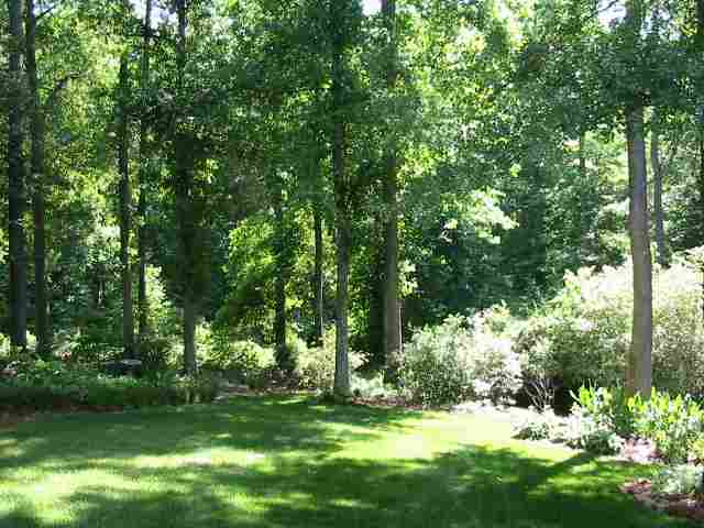 223 Spring Lake Loop Simpsonville, SC 29681 - Photo 4 of 12