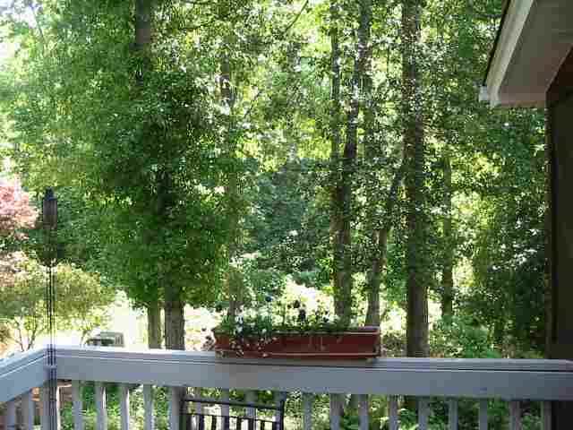 223 Spring Lake Loop Simpsonville, SC 29681 - Photo 5 of 12
