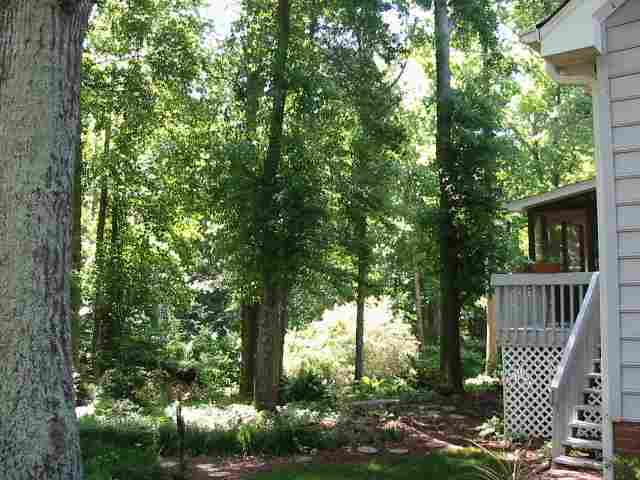 223 Spring Lake Loop Simpsonville, SC 29681 - Photo 6 of 12