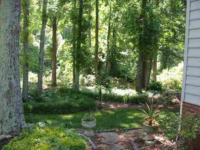 223 Spring Lake Loop Simpsonville, SC 29681 - Photo 7 of 12