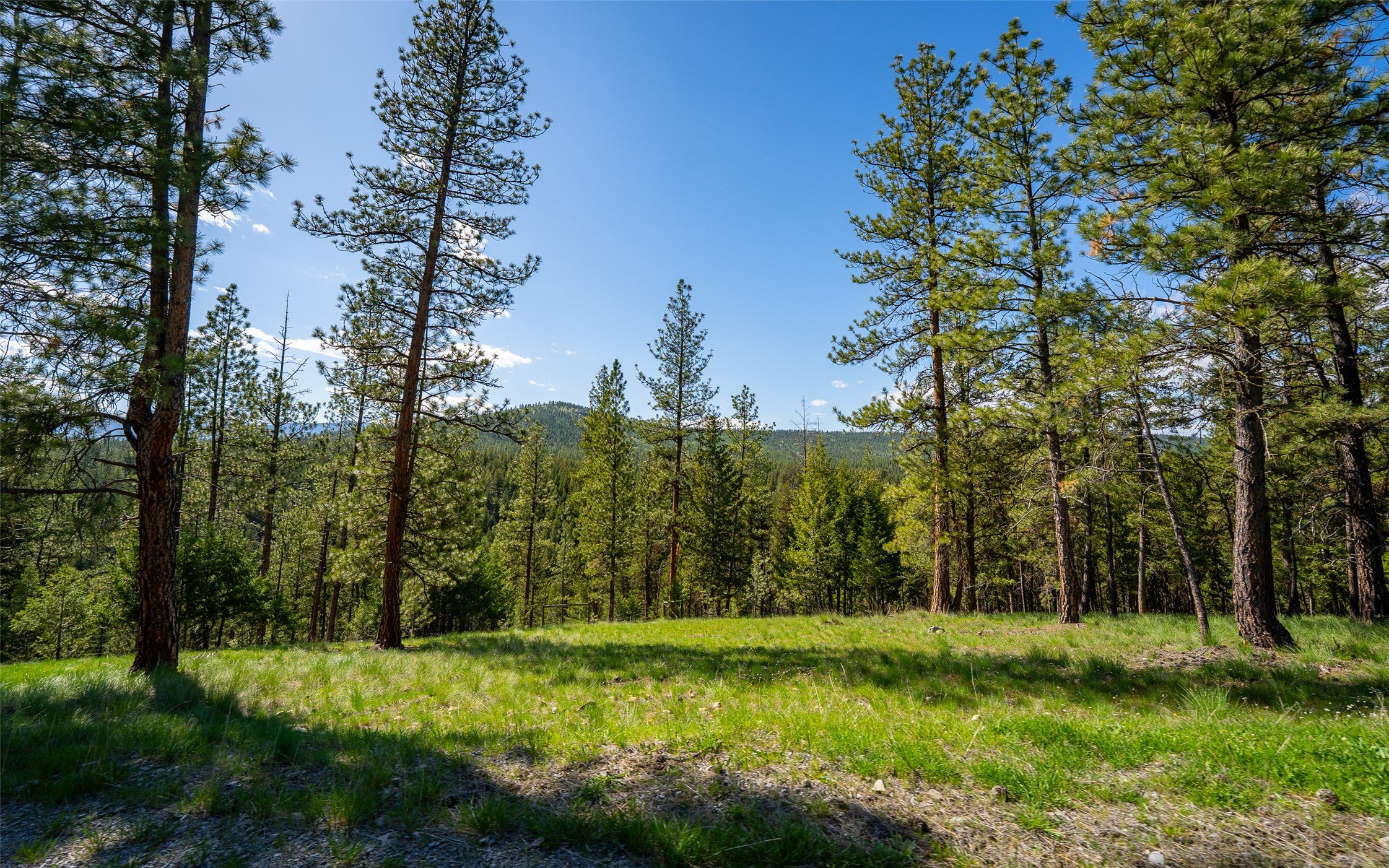 3605 Hubbart Dam Road Marion, MT 59925 - Photo 2 of 28 Gallery Image 2