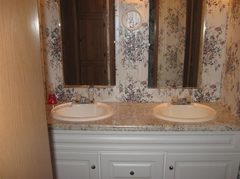 1248 Porter Road Sadieville, KY 40370 - Photo 16 of 54 Master bath with double sinks