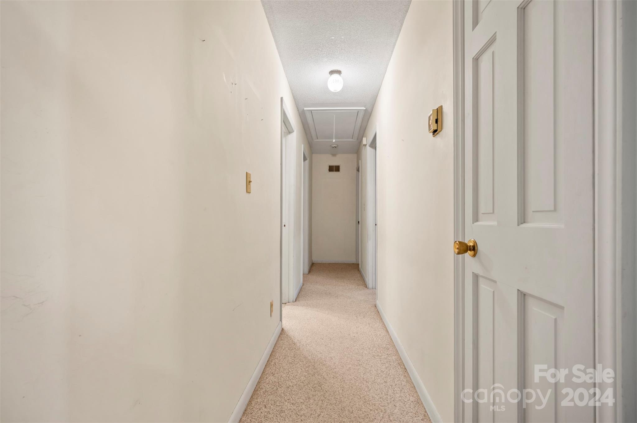 280 Dug Hill Road Landrum, SC 29356 - Photo 17 of 45 a view of a hallway with a elevator