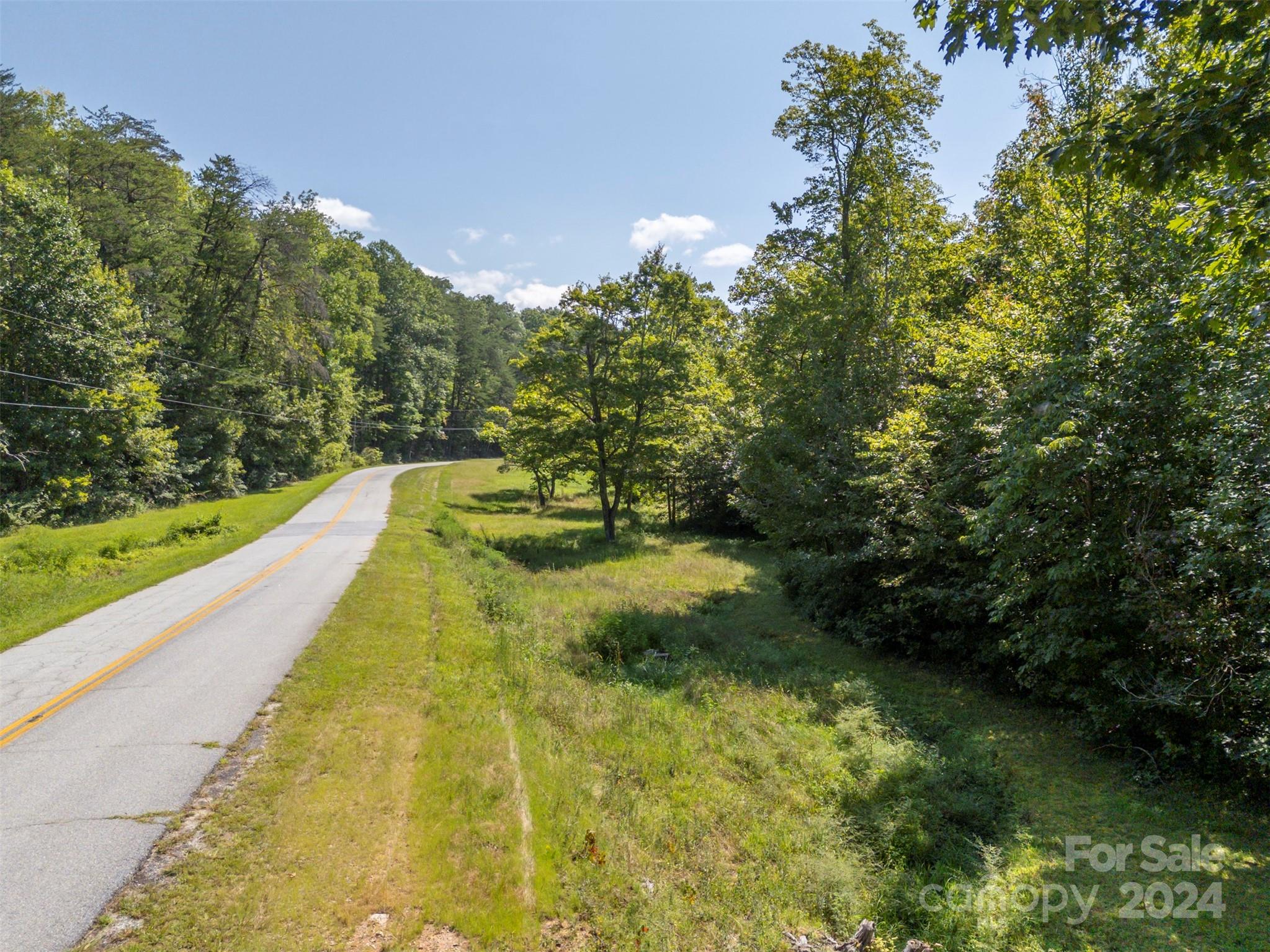280 Dug Hill Road Landrum, SC 29356 - Photo 45 of 45 a view of swimming pool with a yard