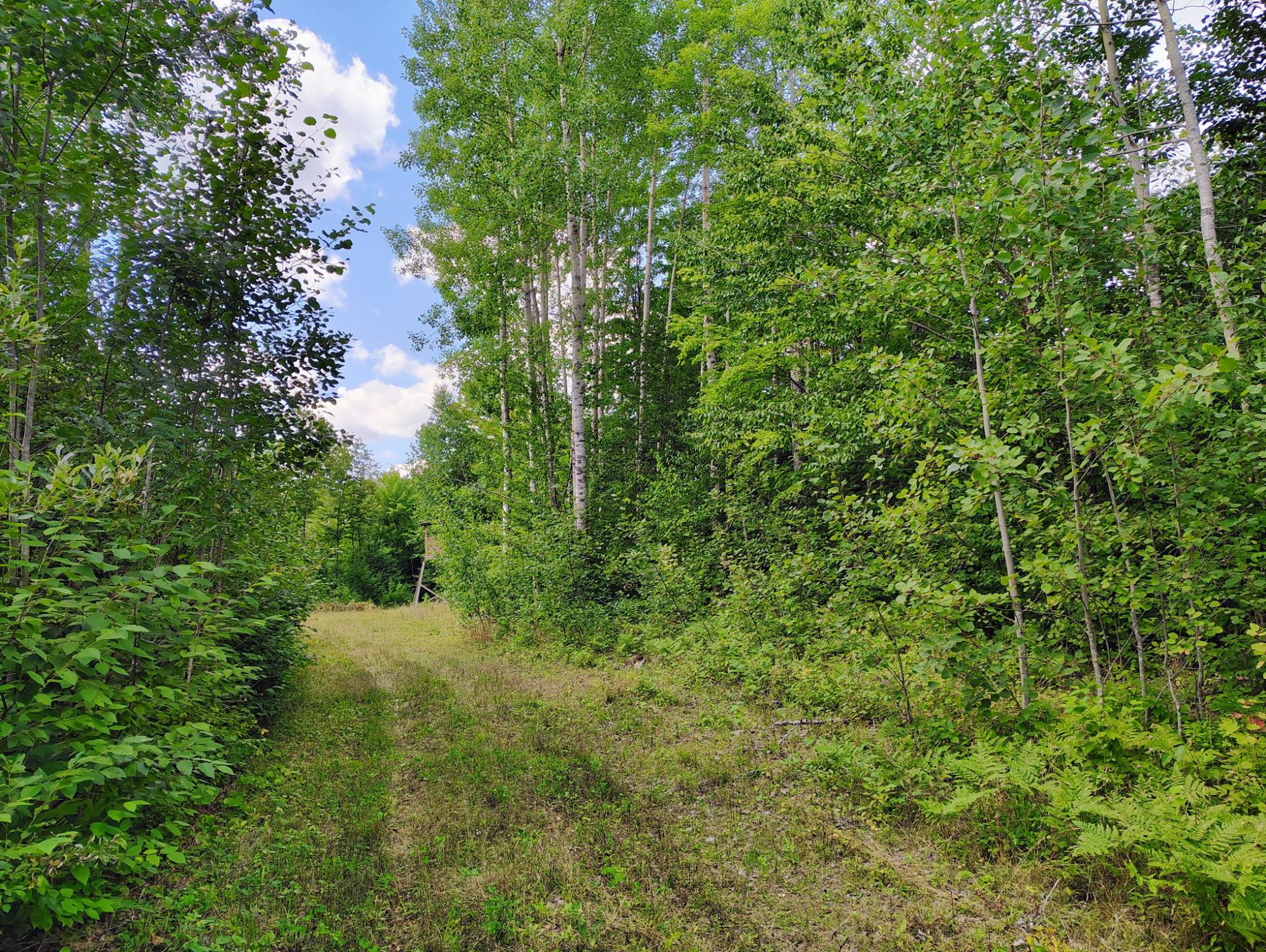 On Long Lake Road, Unit 159 93 AC Mellen, WI 54546 - Photo 26 of 35 Gallery Image 26