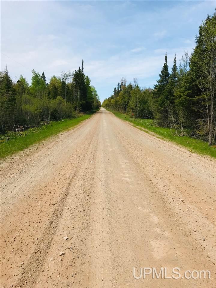 Tbd Co Rd 533 Road Rock, MI 49880 - Photo 11 of 13